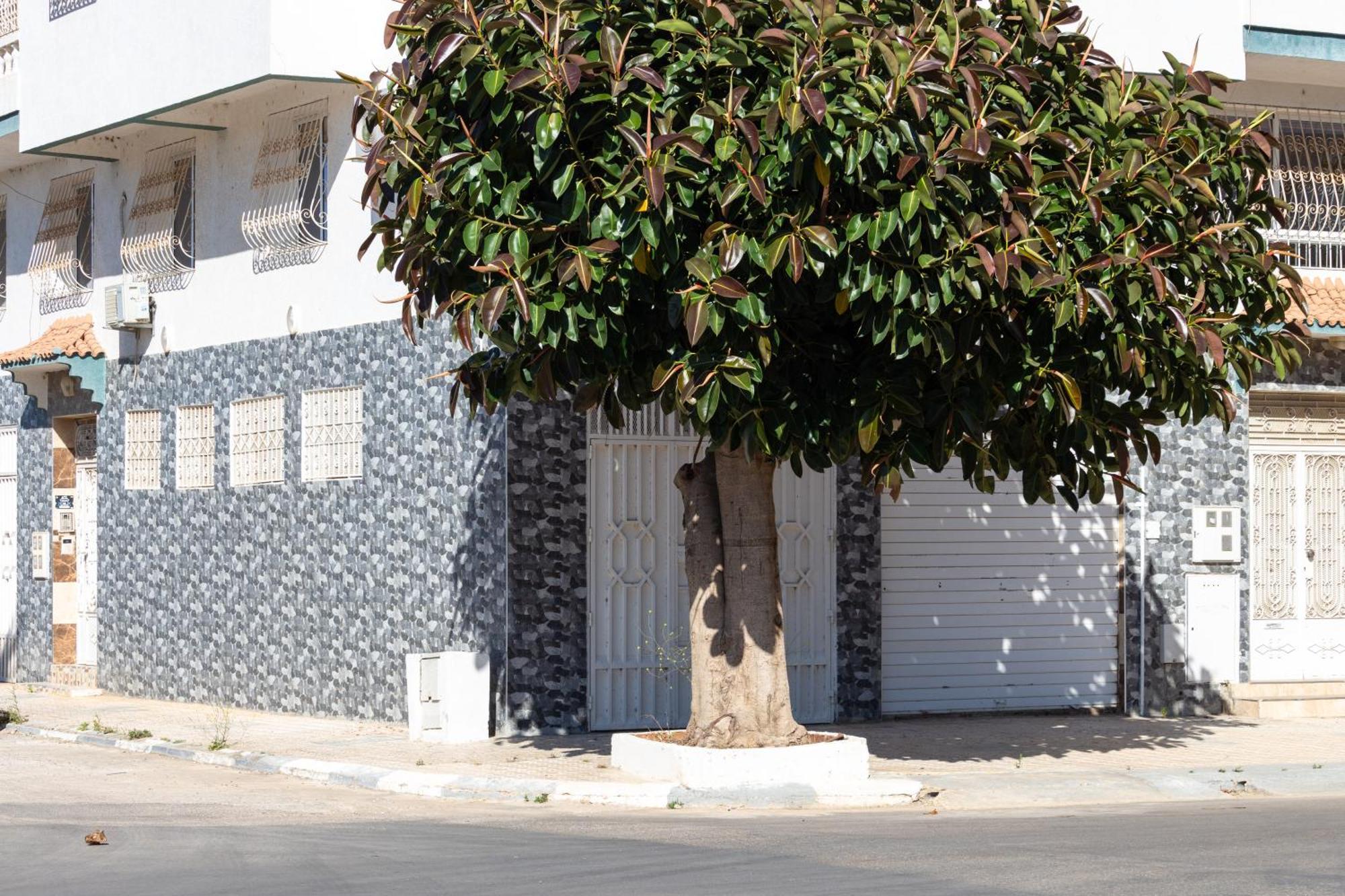 Appartements Calmes Et Spacieux Tétouan Kültér fotó